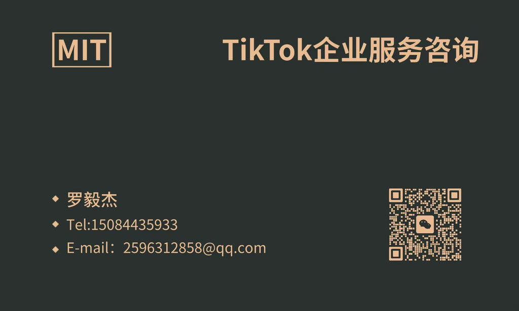 TikTok代入驻